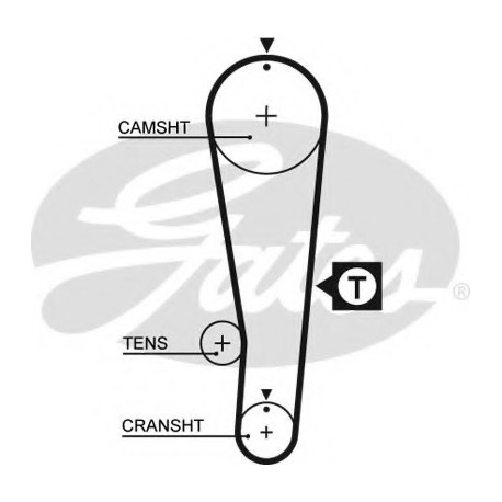 Ιμάντας χρονισμού GATES 5393XS