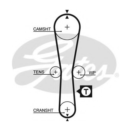 Ιμάντας χρονισμού GATES 5454XS