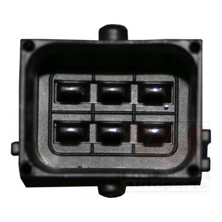 Γρύλος παραθύρου VAN WEZEL 3750261