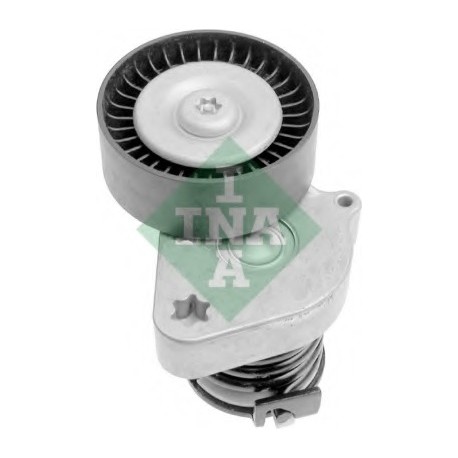 Τεντωτήρας ιμάντα poly-V INA 534008130
