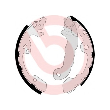 Σιαγώνες BREMBO S24531