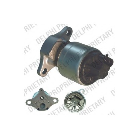 EGR Βαλβίδα πολλαπλής εισαγωγής DELPHI EG1000412B1