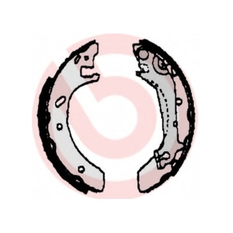 Σιαγώνες BREMBO S24525