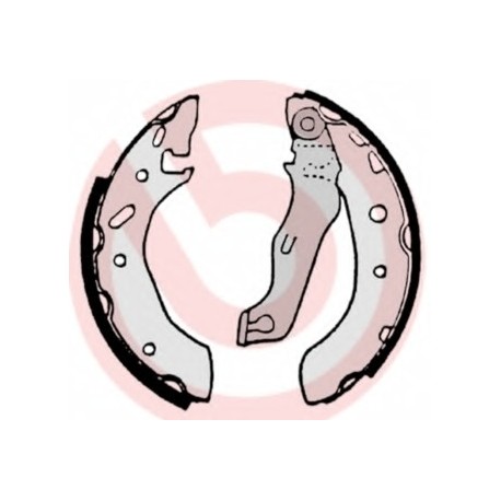 Σιαγώνες BREMBO S24529